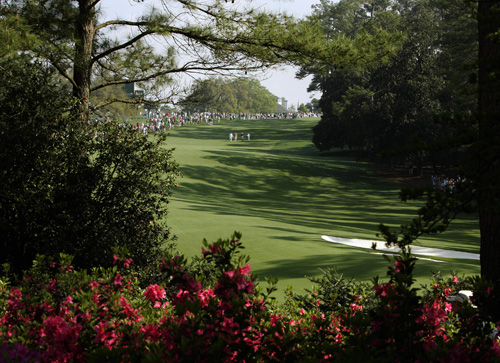 augusta_azaleas.jpg