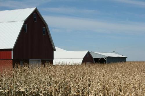 harvest-red-barn.jpg