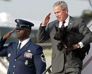 bush_w_salute.jpg